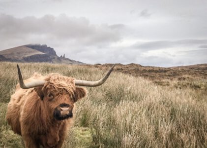 Schottland Road Trip: Die 10 schönsten Orte